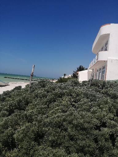 Apartamento 4 El paraíso de Capitán Fernando Appartamento Chelem Esterno foto